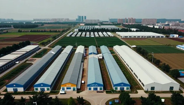 健康咨询课程在诊疗中的实际应用与常见问题应对